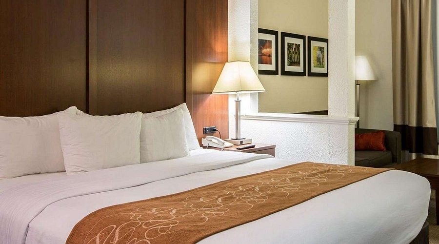 Comfort Suites Cumming Atlanta Near Northside Hospital Forsyth — Guest room