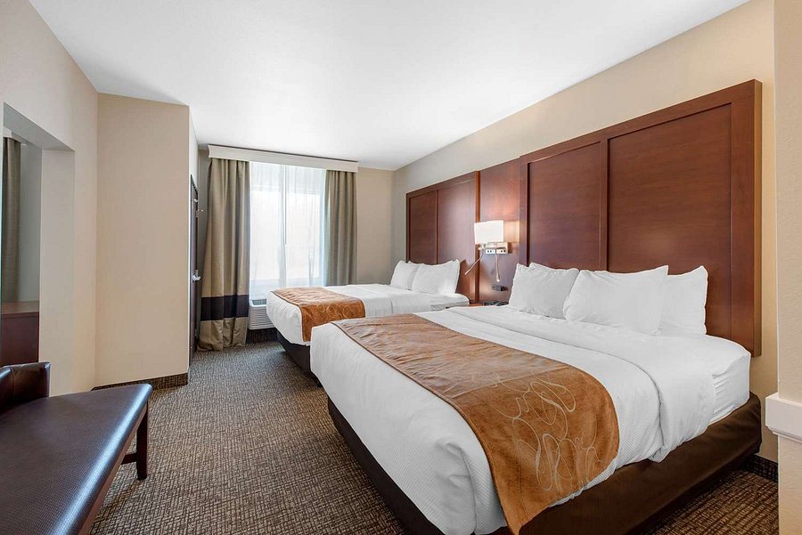 Comfort Suites Denver International Airport — Guest room