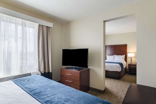 Comfort Suites Denver Near Downtown — Guest room
