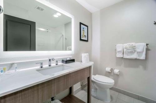 Comfort Suites Detroit Auburn Hills Auburn Hills Michigan — Bathroom