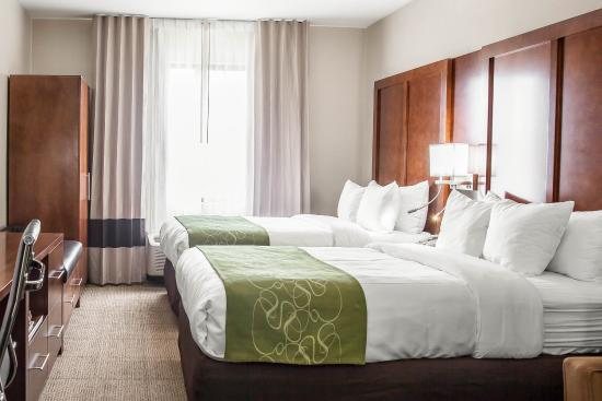 Comfort Suites — Guest room