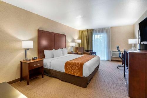 Comfort Suites East — Guest room