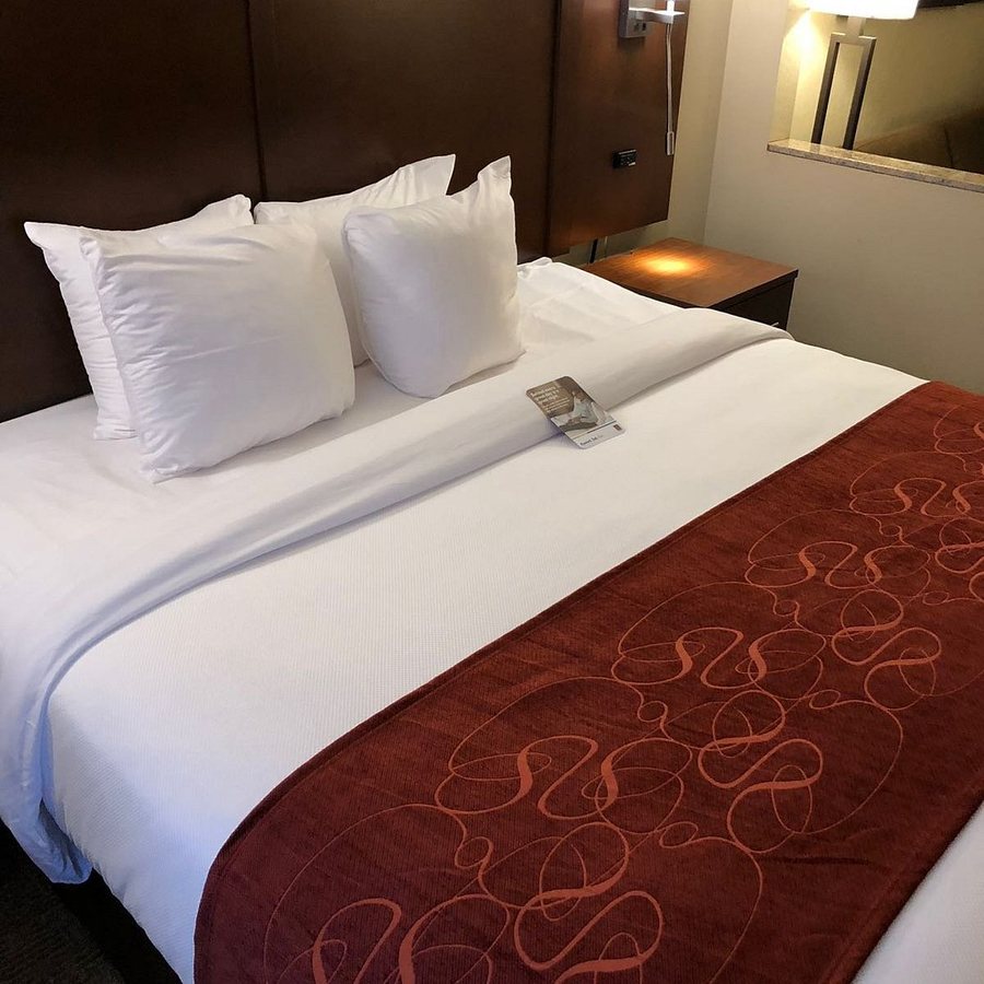 Comfort Suites Fishkill Near Interstate 84 — Guest room