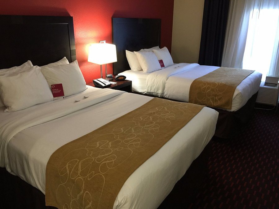 Comfort Suites Florence I 95 — Guest room