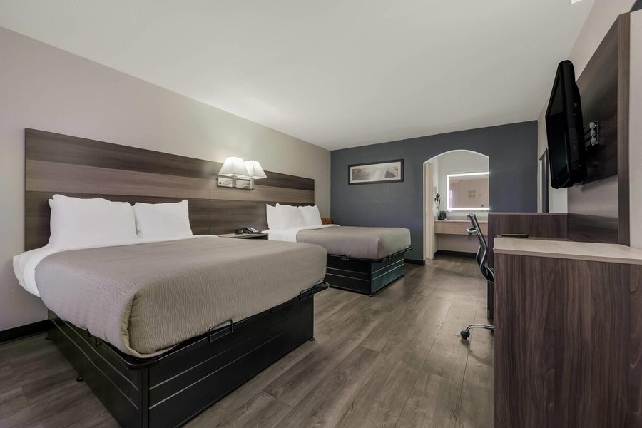 Comfort Suites Gadsden Attalla — Guest room