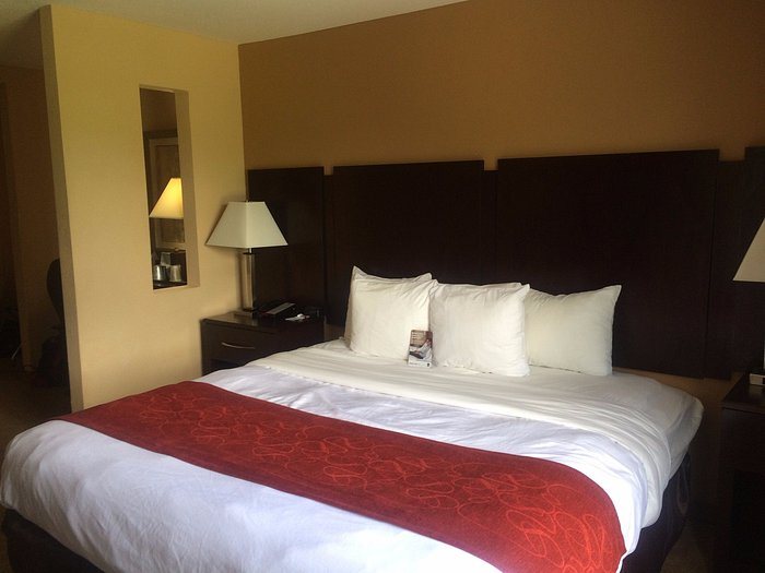 Comfort Suites Golden Isles Gateway Brunswick — Guest room