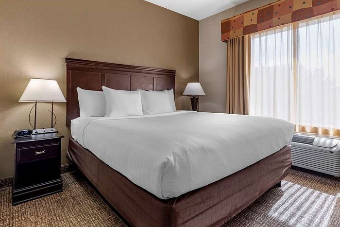 Comfort Suites — Guest room