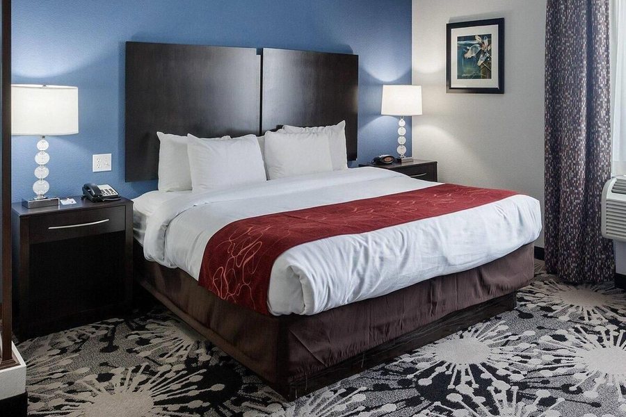 Comfort Suites Greenville — Guest room