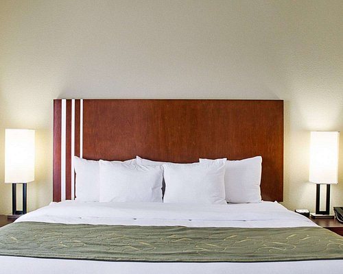 Comfort Suites Greenwood — Guest room