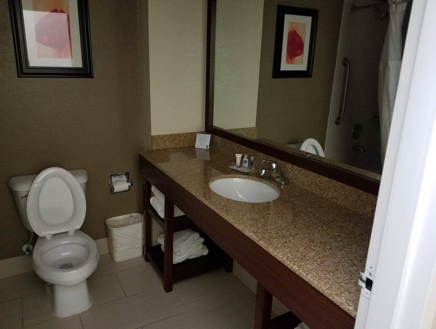 Comfort Suites Gwinnett Medical Center Area — Bathroom