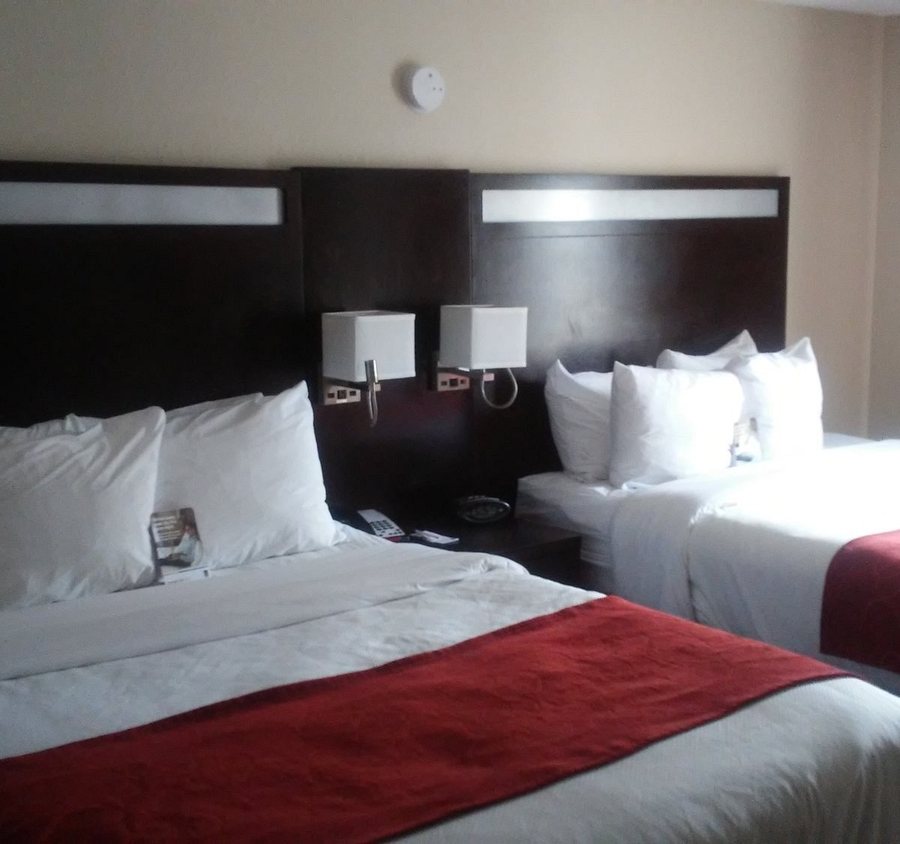 Comfort Suites Gwinnett Medical Center Area — Guest room