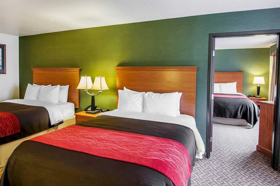 Comfort Suites Inn at Ridgewood Farm — Guest room