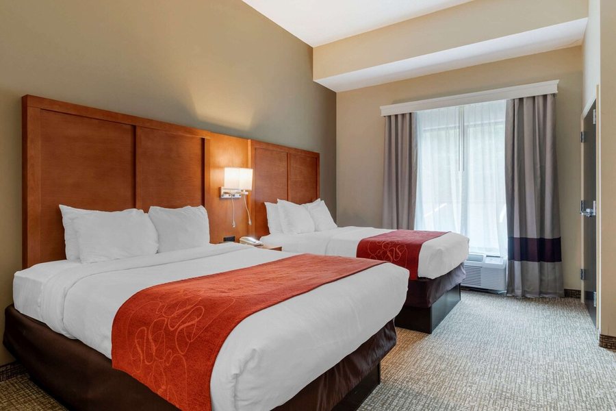 Comfort Suites — Guest room