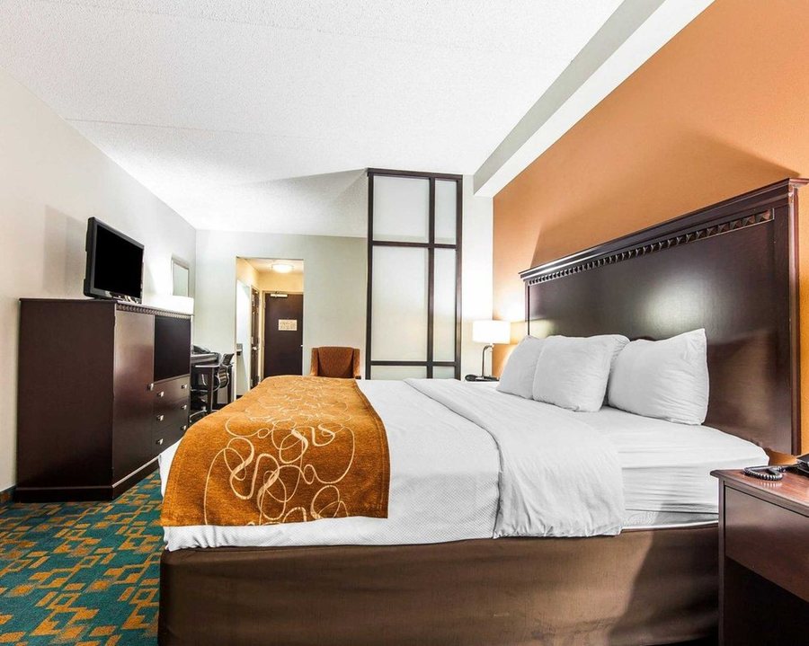 Comfort Suites Knoxville West Farragut — Guest room