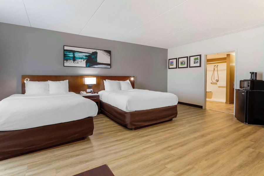 Comfort Suites Kodak — Guest room
