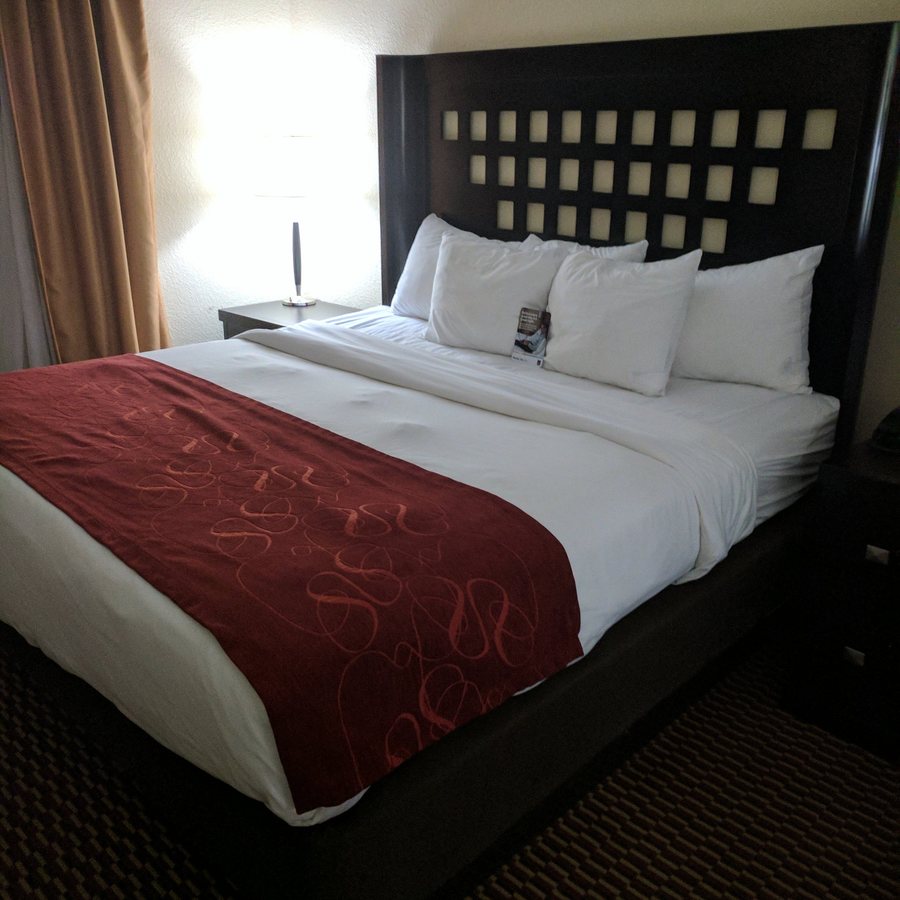 Comfort Suites Leesville — Guest room