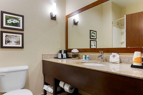 Comfort Suites Little Rock West — Bathroom