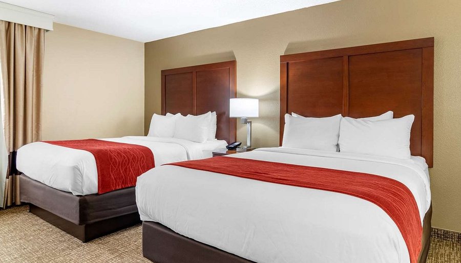 Comfort Suites Macon Northwest — Guest room