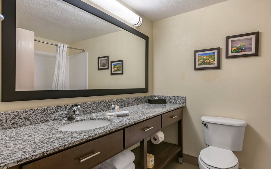 Comfort Suites Maingate East — Bathroom