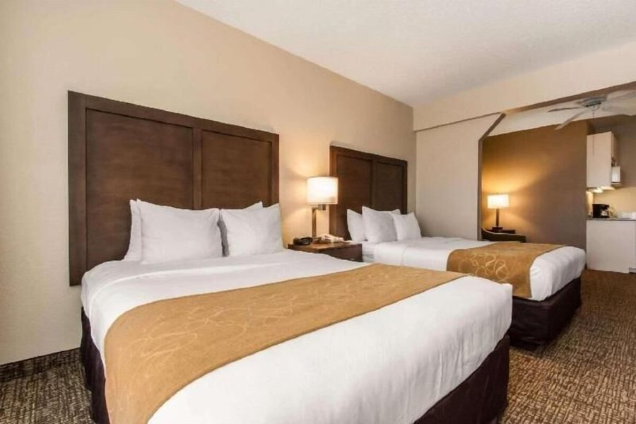 Comfort Suites Maingate East — Guest room