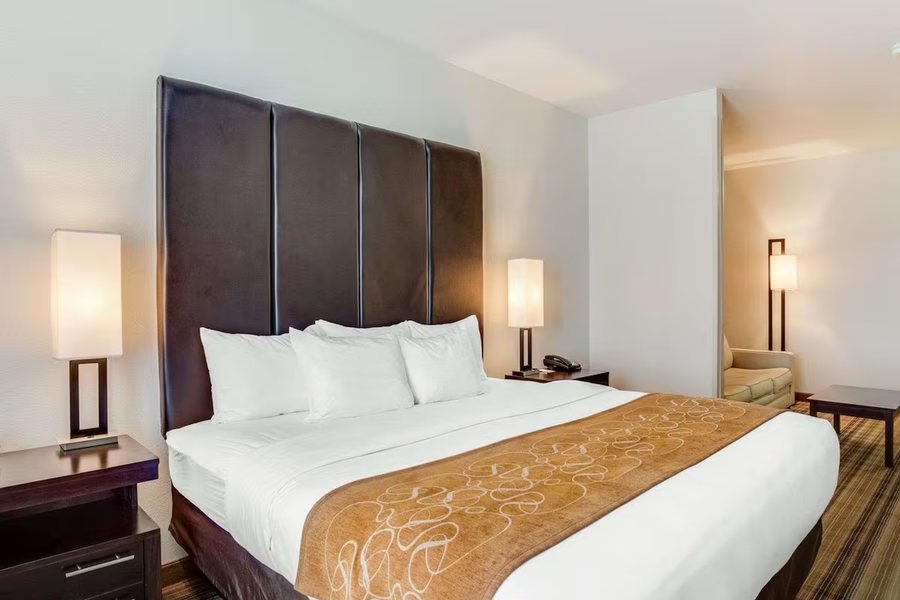 Comfort Suites Mandeville Covington — Guest room