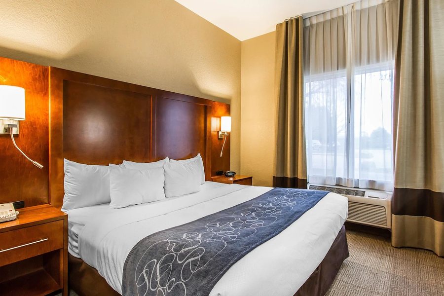Comfort Suites Mattoon — Guest room