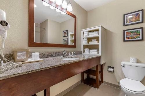 Comfort Suites Medical Center near Six Flags — Bathroom
