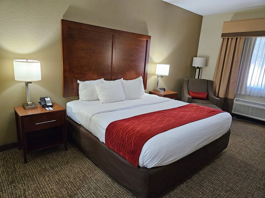 Comfort Suites Milledgeville — Guest room