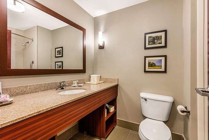 Comfort Suites Mobile West Tillmans Corner — Bathroom