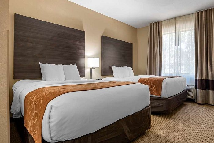 Comfort Suites Mobile West Tillmans Corner — Guest room