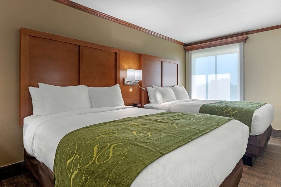 Comfort Suites — Guest room