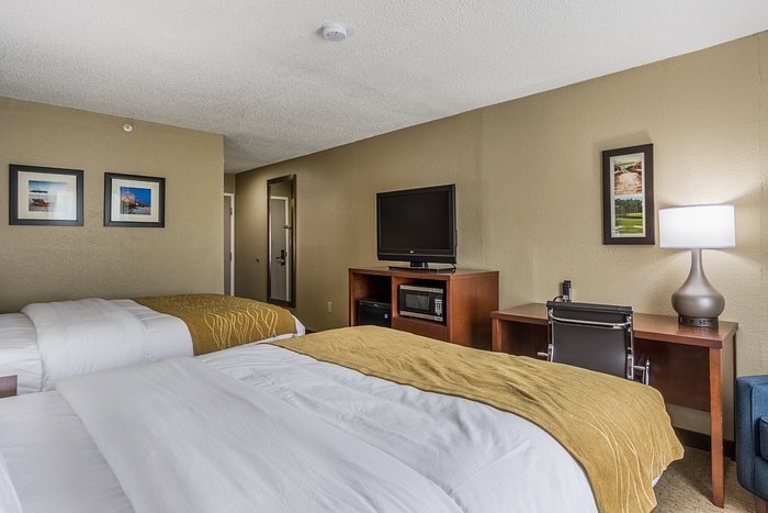 Comfort Suites Myrtle Beach Central — Guest room