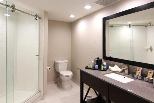Comfort Suites Near Hot Springs Park — Bathroom