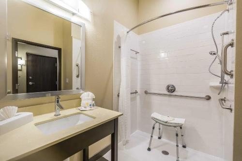 Comfort Suites Near Sam Houston Race Park — Bathroom
