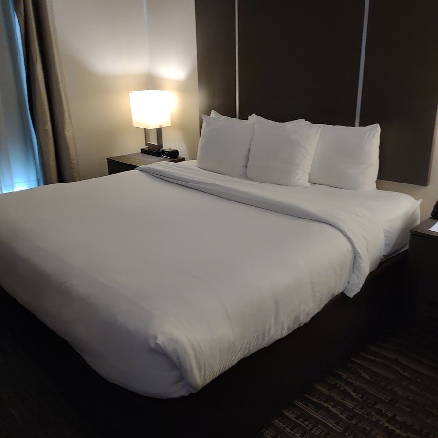 Comfort Suites Near Sam Houston Race Park — Guest room