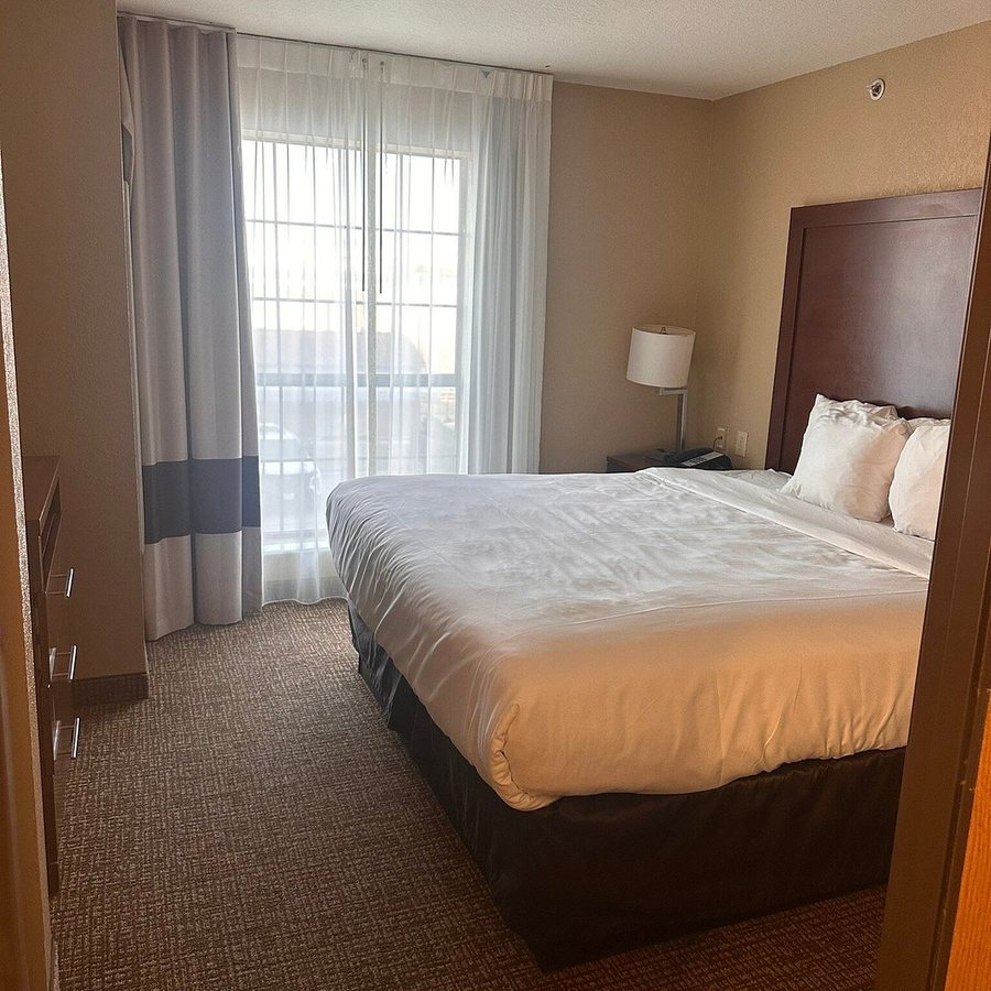 Comfort Suites Near Seaworld — Guest room