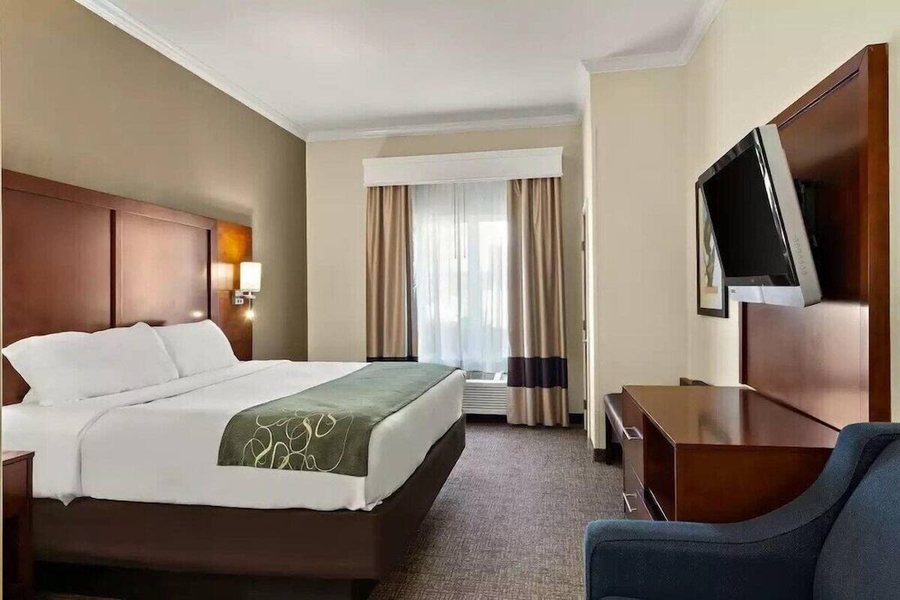 Comfort Suites Near Texas A M Corpus Christi — Guest room