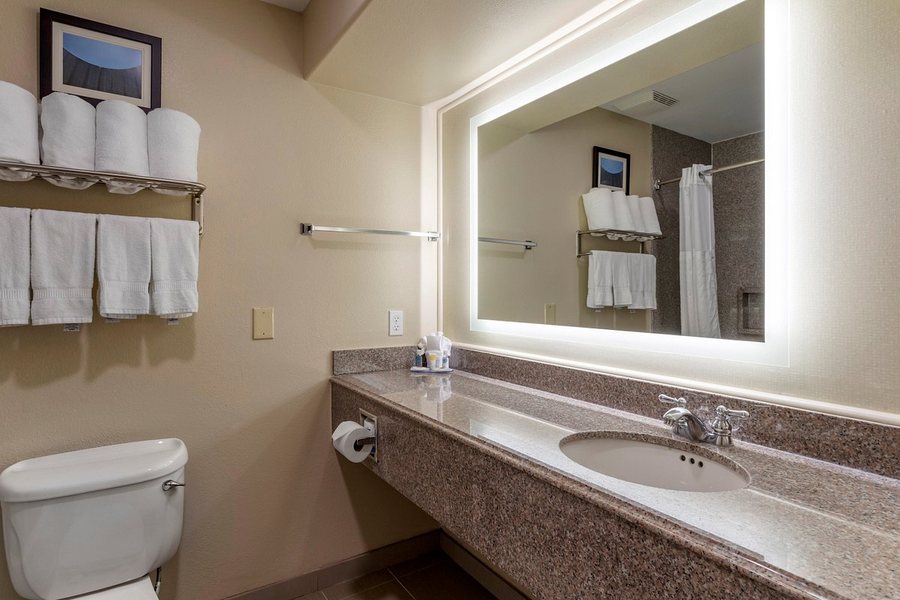Comfort Suites Near Texas Medical Center NRG Stadium — Bathroom