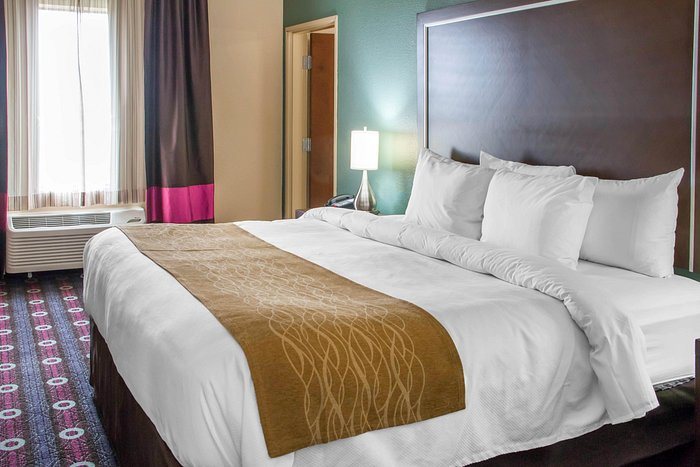 Comfort Suites Near Texas State University — Guest room