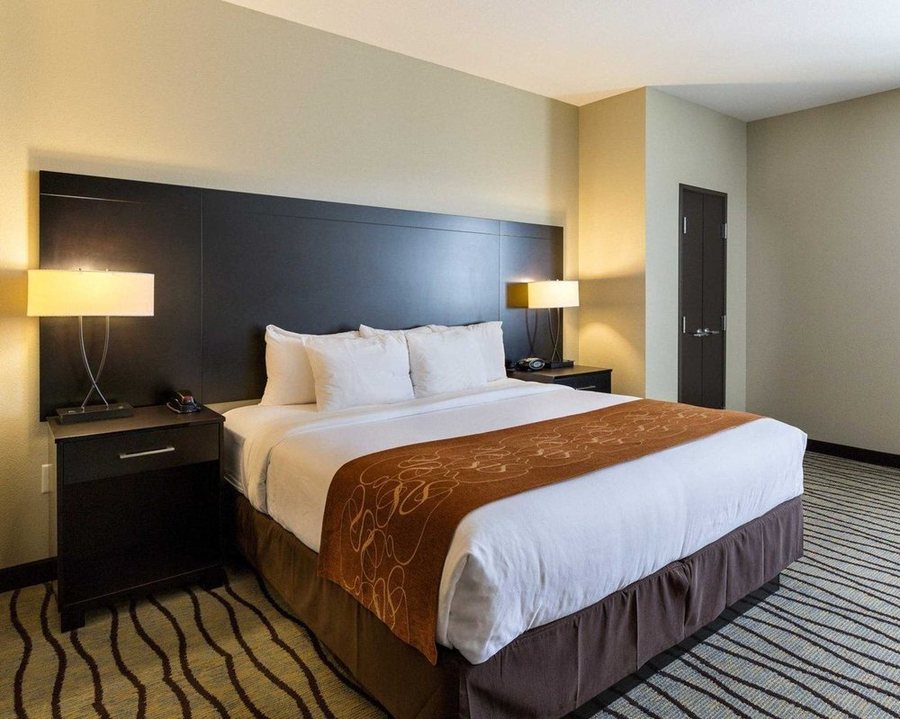 Comfort Suites near Westchase on Beltway 8 — Guest room