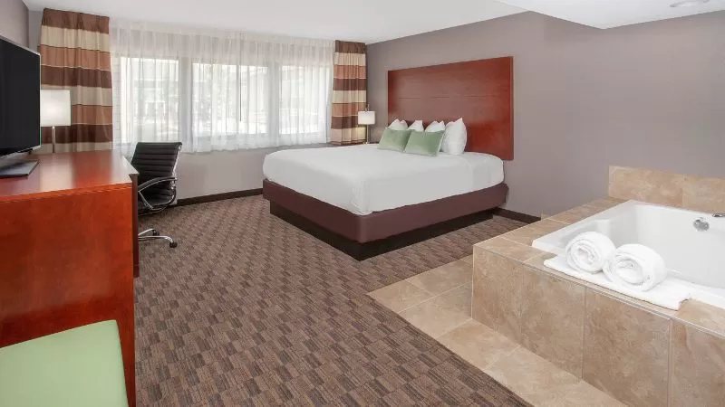 Comfort Suites North — Guest room