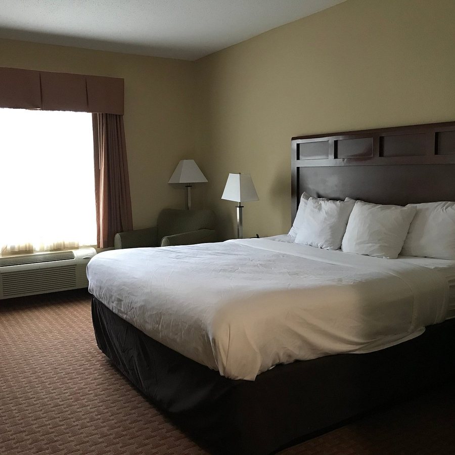 Comfort Suites North — Guest room