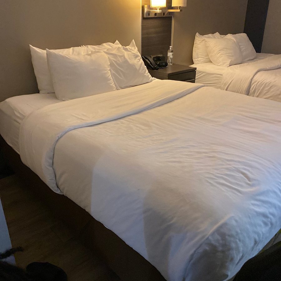 Comfort Suites Northlake — Guest room