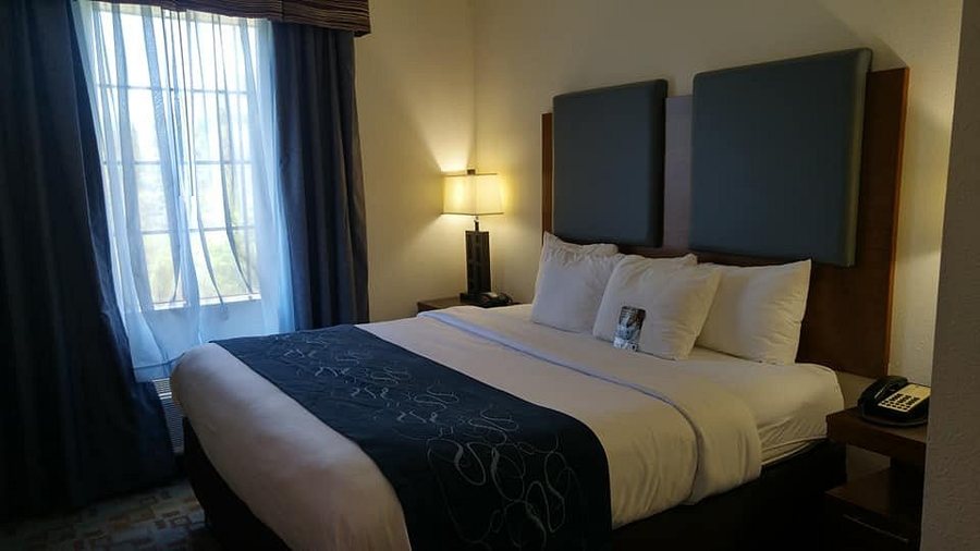 Comfort Suites Oil Center — Guest room