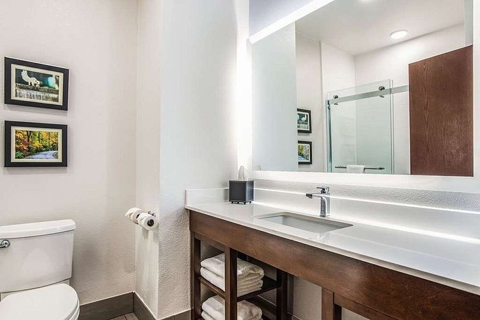 Comfort Suites Palm Bay Melbourne — Bathroom