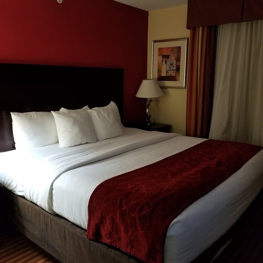 Comfort Suites Palm Bay Melbourne — Guest room
