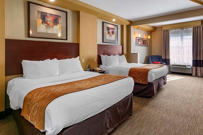 Comfort Suites — Guest room