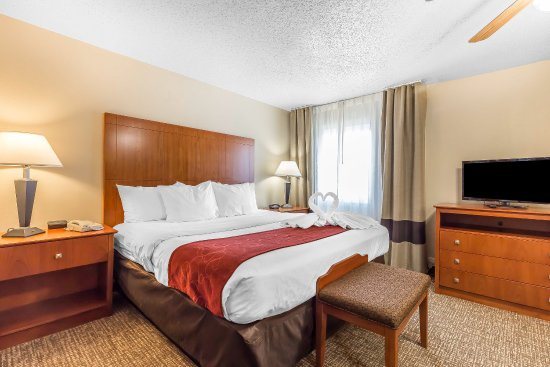 Comfort Suites Plano Dallas North — Guest room