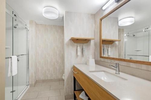 Comfort Suites Plymouth Near US 30 — Bathroom