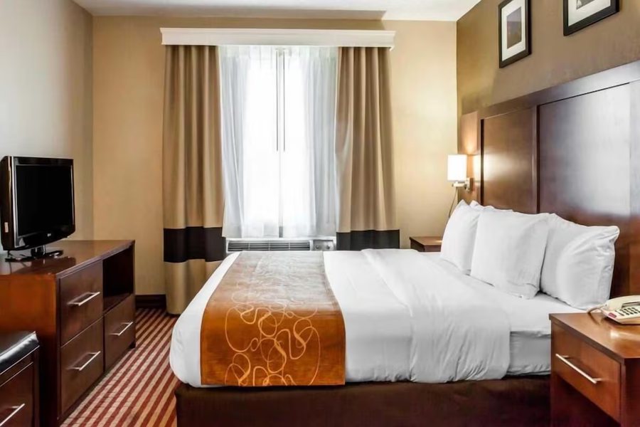 Comfort Suites Raleigh Walnut Creek — Guest room